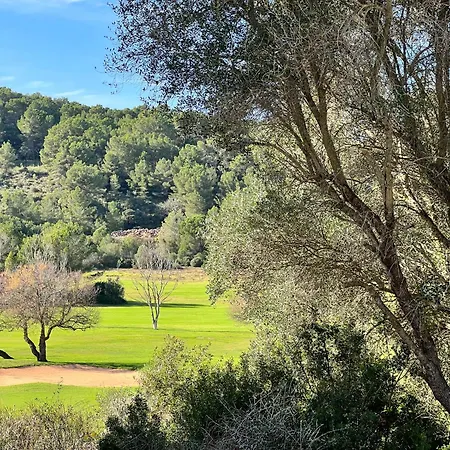 Disfruta Del Paraiso