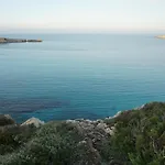 Disfruta Del Paraiso