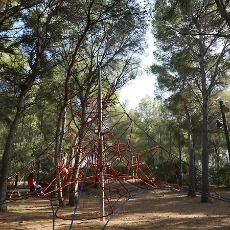 Disfruta Del Paraiso *