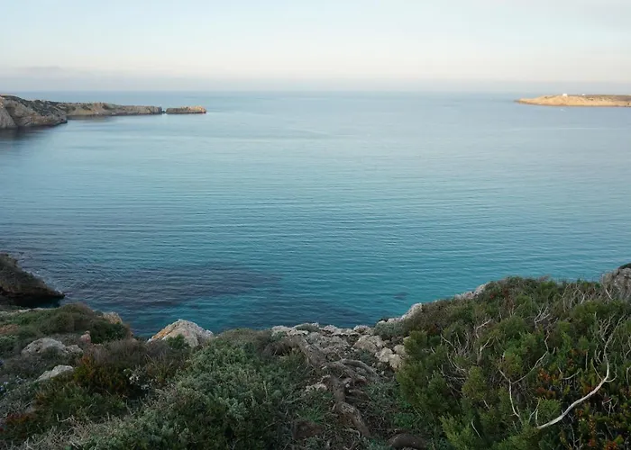 Disfruta Del Paraiso